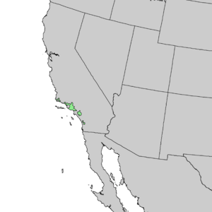 Juglans californica range map 2.png