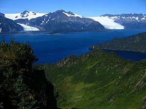 Kenai Fjords coast