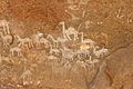 Kohaito, grotta di adi alauti con pitture rupestri databili al 2500 ac ca. 36 dromedari
