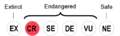 Lang Status 20-CR