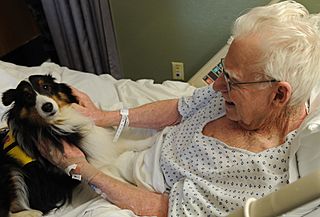 Langley therapy dog
