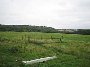 Long Meadow and Kings Wood - geograph.org.uk - 549499
