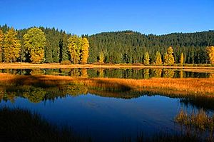 Lost Lake (Linn County, Oregon scenic images) (linnD0003).jpg