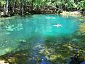 Manatee Springs State Park Florida springs05