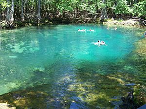 Manatee Springs State Park Florida springs05