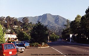Millerave1990s