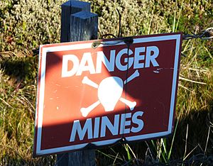 Mines - Copie (2) (3445582152)