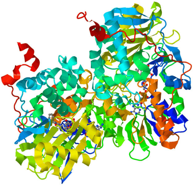 MonoamineOxidase-1GOS