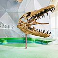 Mosasaur skull in the Great Lakes Future exhibit
