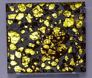 NHM - Pallasit Fukang