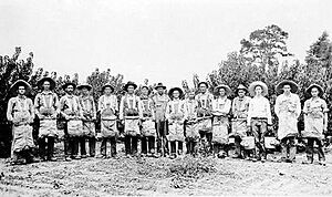 Nashville peach pickers