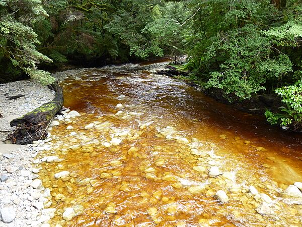 Oparara Basin the River 3