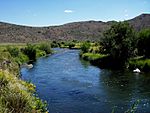 Owyhee River, Elko County, Nevada