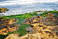 PlayaSurCazones27