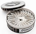 Portioned snus