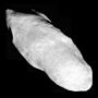 An irregularly shaped oblong body is fully illuminated. It is elongated in the direction from the top left to bottom left. Its surface is covered by craters.