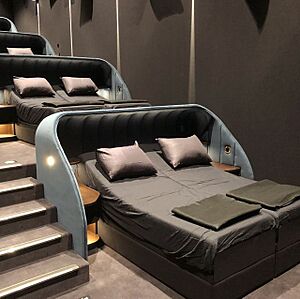 Public photo of a bed cinema