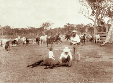 Queensland State Archives 2475 Booral horse station c 1898.png