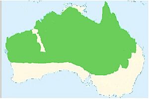 Red-browed pardalote (Pardalotus rubricatus) Distibution map
