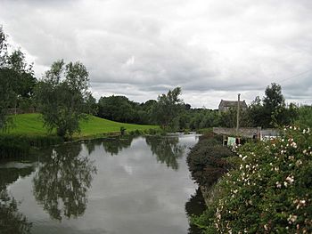 River Maigue, Bruree, Co. Limerick - geograph.org.uk - 1262601.jpg