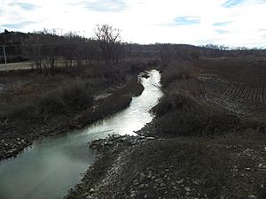River aux Vases creek, Missouri 2