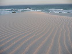Sand dune ripples
