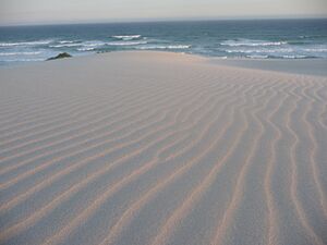 Sand dune ripples