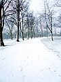 Spinney Hills Park, Leicester