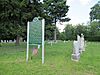 St Mary's Cemetery (Ira Township, MI).jpg