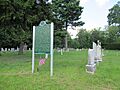 St Mary's Cemetery (Ira Township, MI)