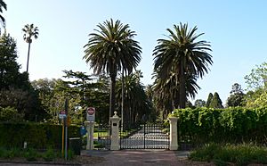 St kilda botanic gardens