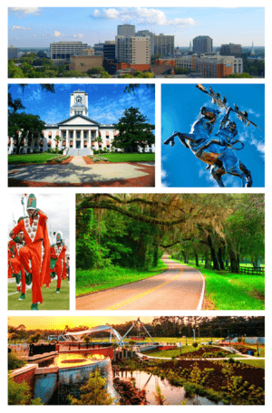 Top, Left to Right: Tallahassee Skyline, Florida Capitol Buildings, Unconquered statue of Osceola and Renegade at FSU, FAMU's Marching 100, Old St. Augustine Canopy Road, and Cascades Park