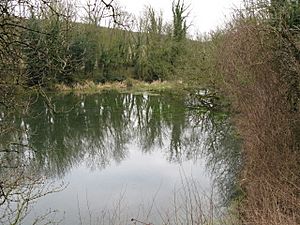The River Dour near its source, Alkham Valley - geograph.org.uk - 1164512