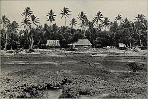 The atoll of Funafuti; borings into a coral reef and the results, being the report of the Coral Reef Committee of the Royal Society (1904) (14765813295)