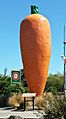 The famous Ohakune carrot
