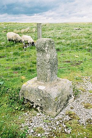 The stump of the ancient Rey Cross - geograph.org.uk - 846388