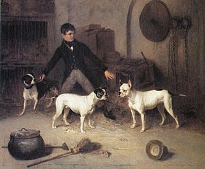 Thomas Clayton - Kennel Boy And Bulldogs