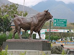 Toro de las delicias, maracay