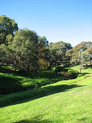 Torrens valley