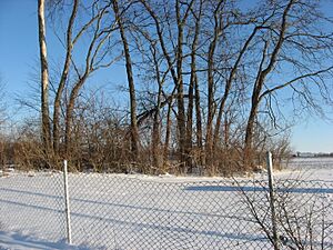 Valentine Wilson House site
