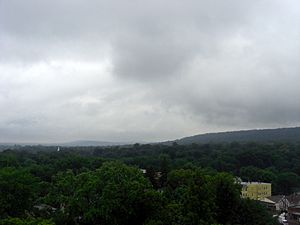 View of Maplewood