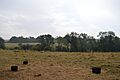 Wansford Pasture 2