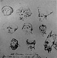 William Blake - 9 Grotesque or Demoniac Heads, Butlin 767 recto c 1819-20 183x188mm - F Bailey Vanderhoef Jr - Ojai California