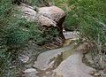 WillowStream