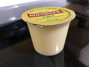 2019-01-25 19 55 00 An unopened cup of Kozy Shack Tapioca pudding in the Franklin Farm section of Oak Hill, Fairfax County, Virginia