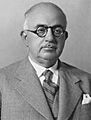 Ali Hikmet Pasha Ayerdem