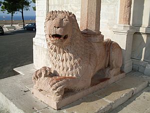 Ancona S.Ciriaco leone