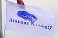 AransasCountyFlag