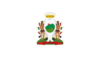 Flag of Monterrey