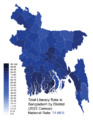 Bangladesh Literacy Rate (2022, Total)